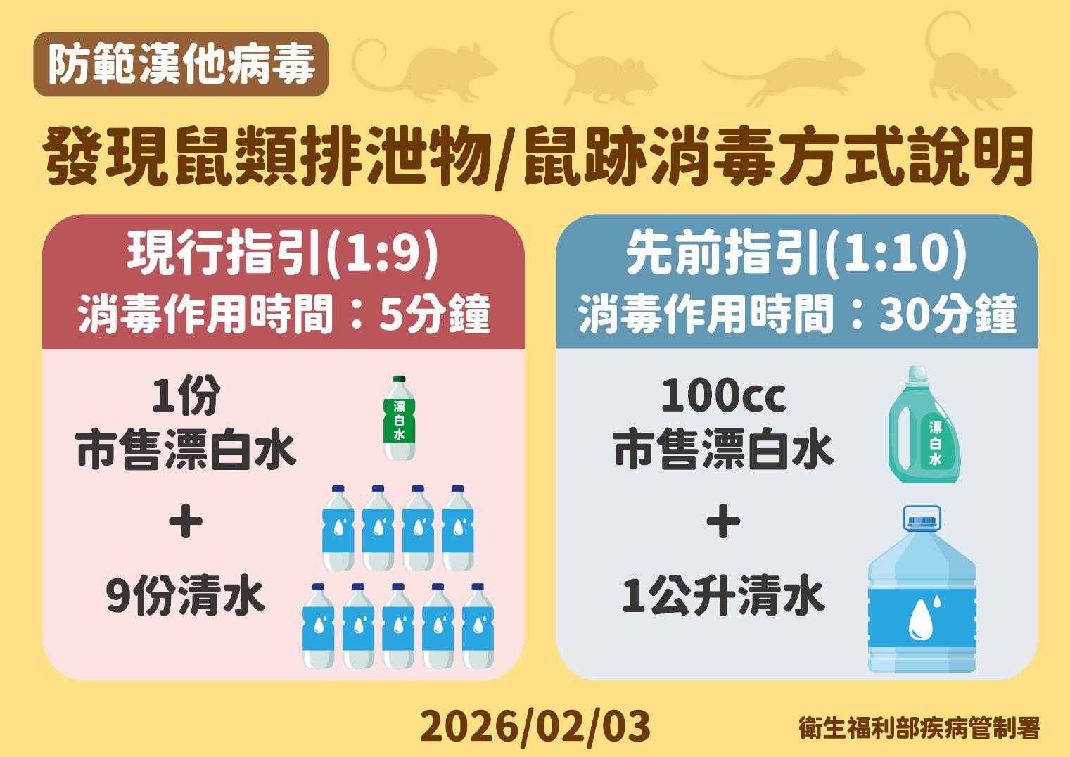 20260505-鼠 (1)