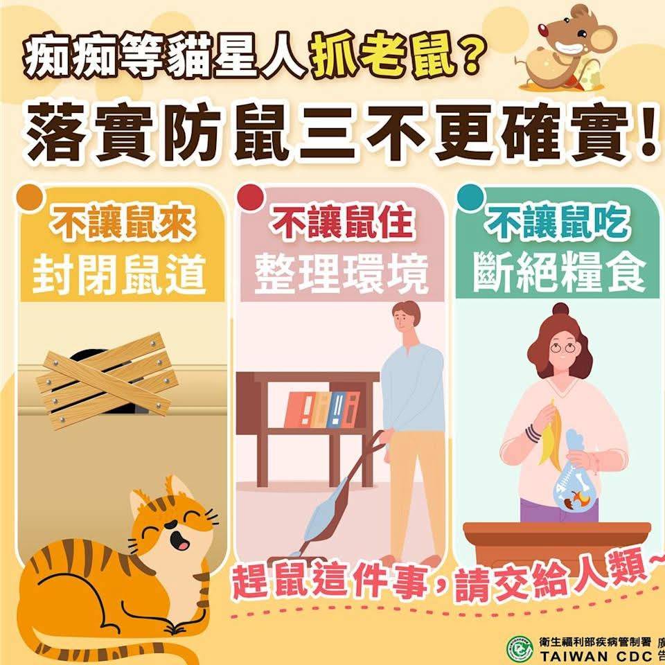 20260505-鼠 (2)