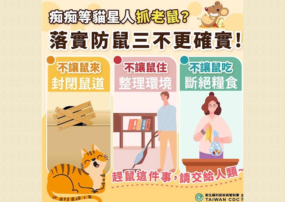 20260505-鼠 (2)-12