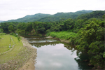 軟橋段親水公園